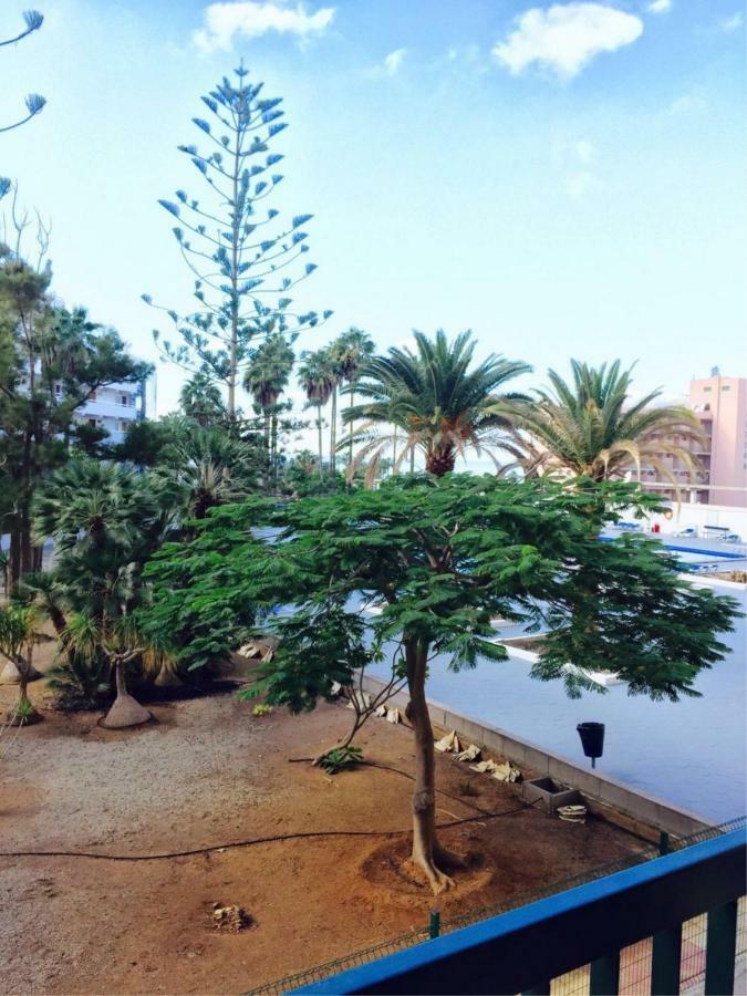 Enjoy The Sea And Pool In Playa De Las Americas Εξωτερικό φωτογραφία
